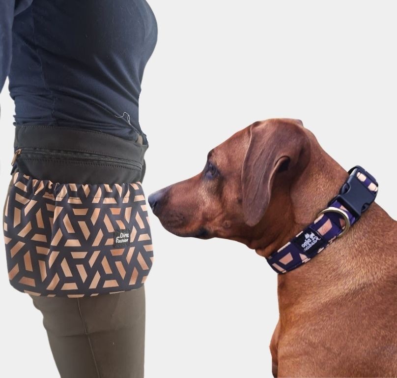 pamlskovník okolo pasu Dinofashion